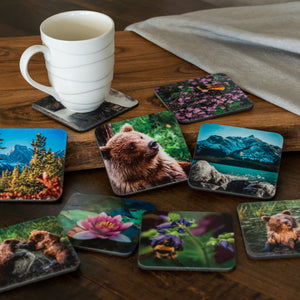 Coasters